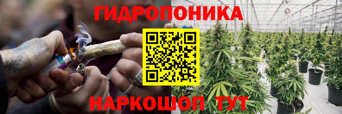 Конопля THC 21% Славянск-на-Кубани